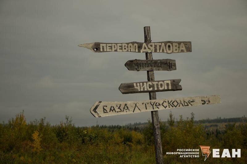    Манси живут в суровой тайге