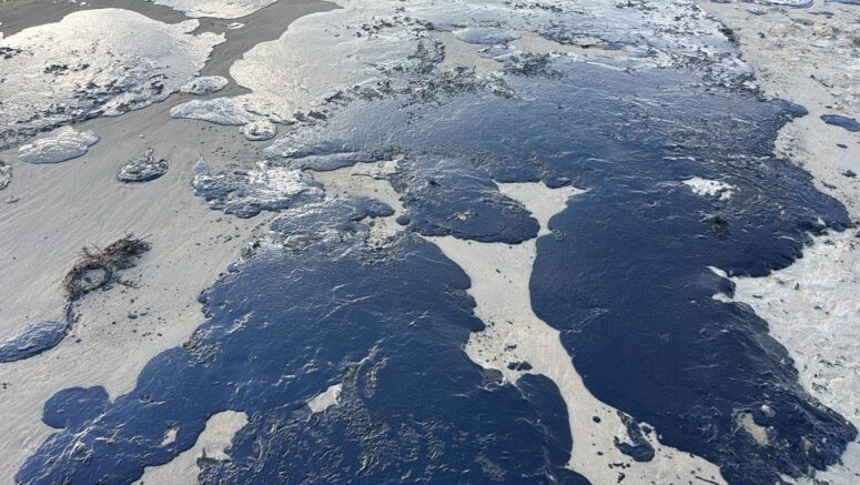    Загрязненный участок побережья в Джемете / Сергей Климов