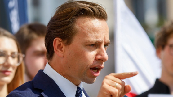    Вице-спикер Сейма Польши: Варшаву хотят втянуть в конфликт на Украине Андрей Бурков