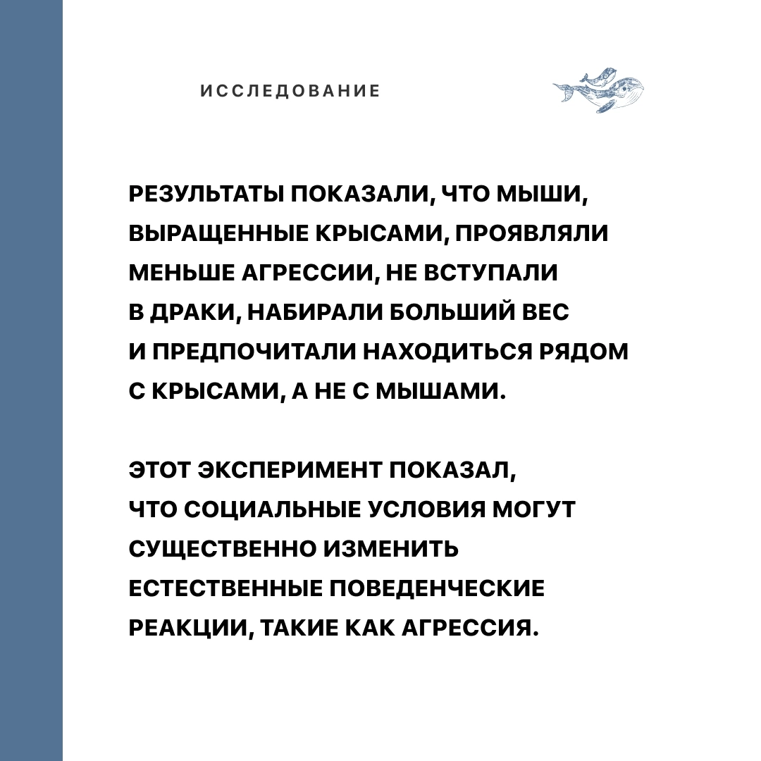 Листайте карусель 