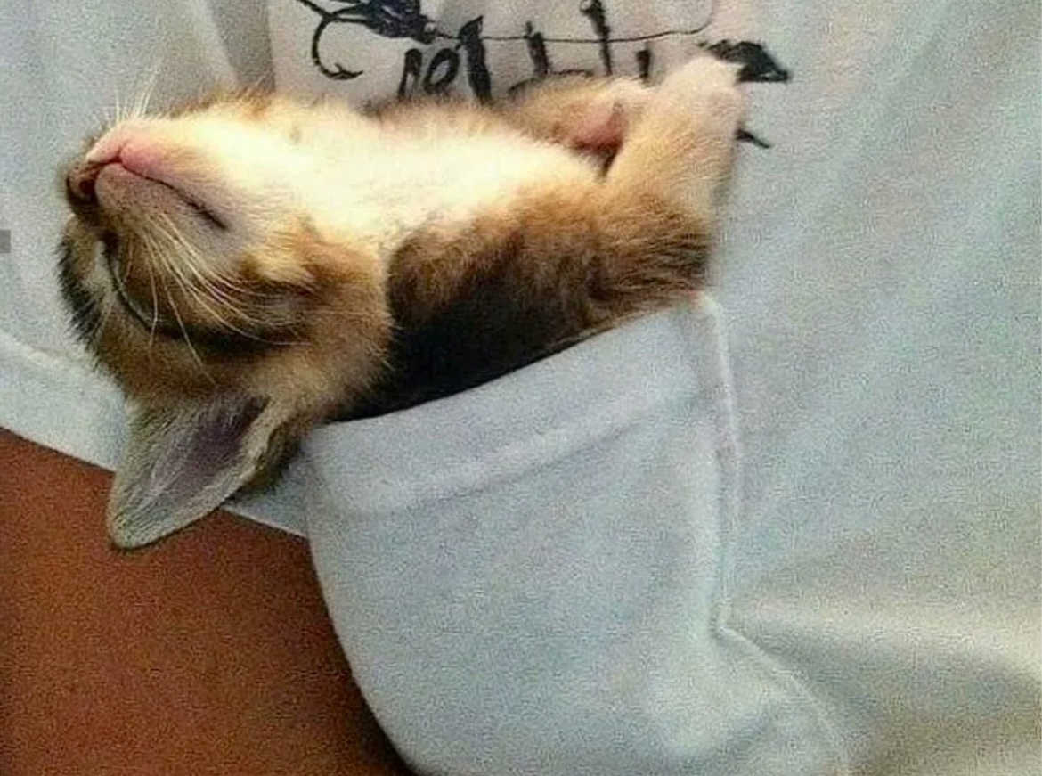 Балдееежь! ->->-> 