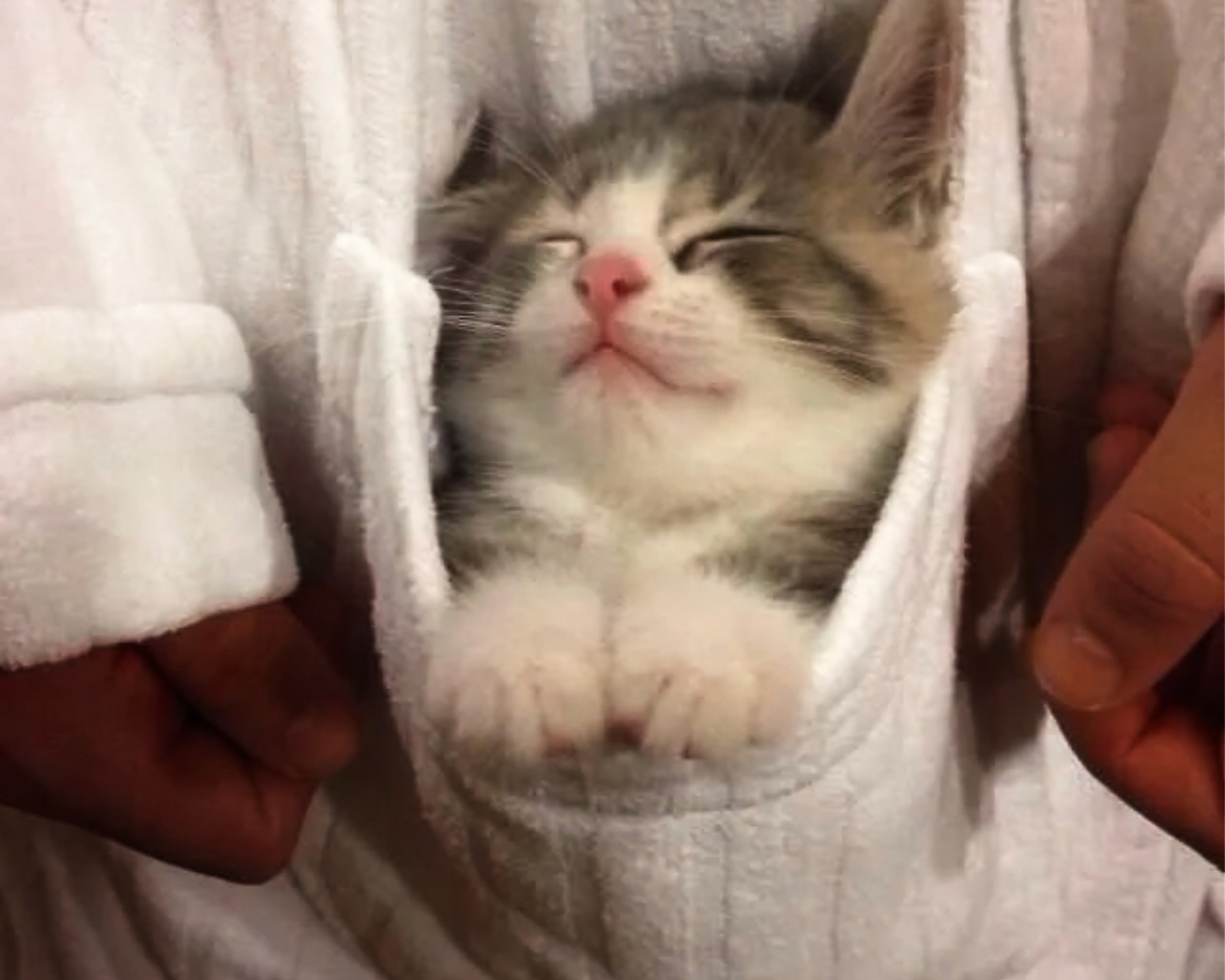 Мммм...как же тут хорошо, и тепло. Спасибо, тебе, кожаный! 