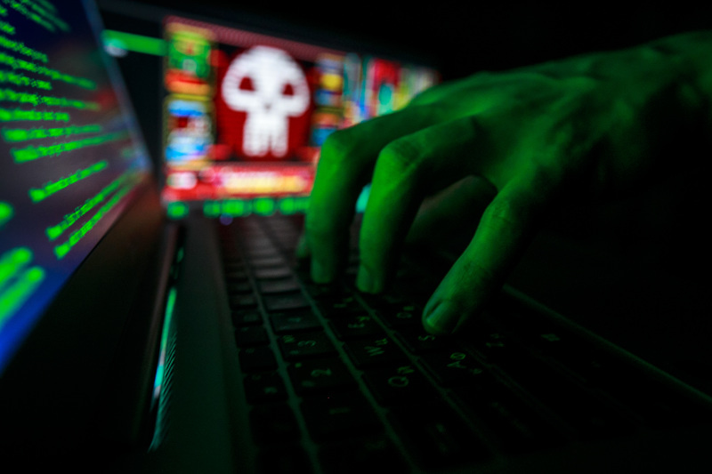    Фото: Vladimir Andreev/Globallookpress