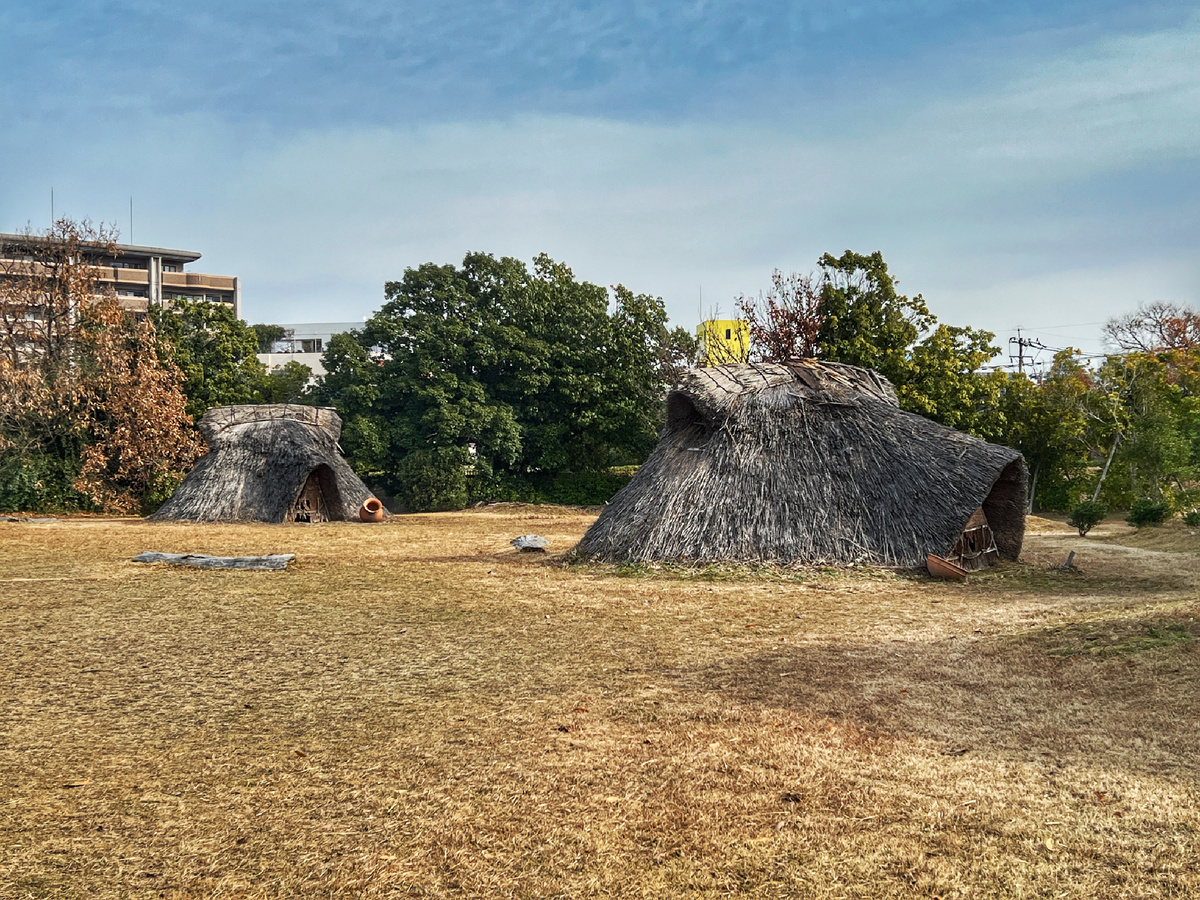 Хижины из камыша. Фото автора