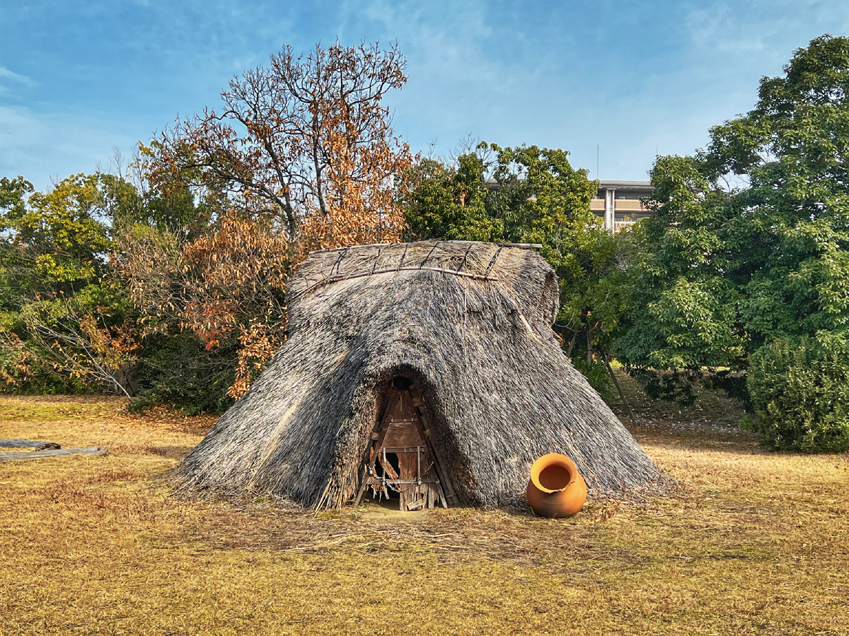 Хижины из камыша. Фото автора