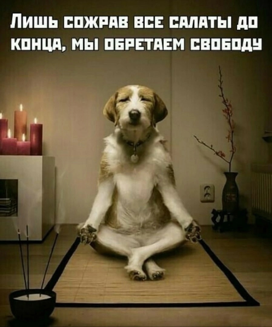 Фото из открытых источников в интернете