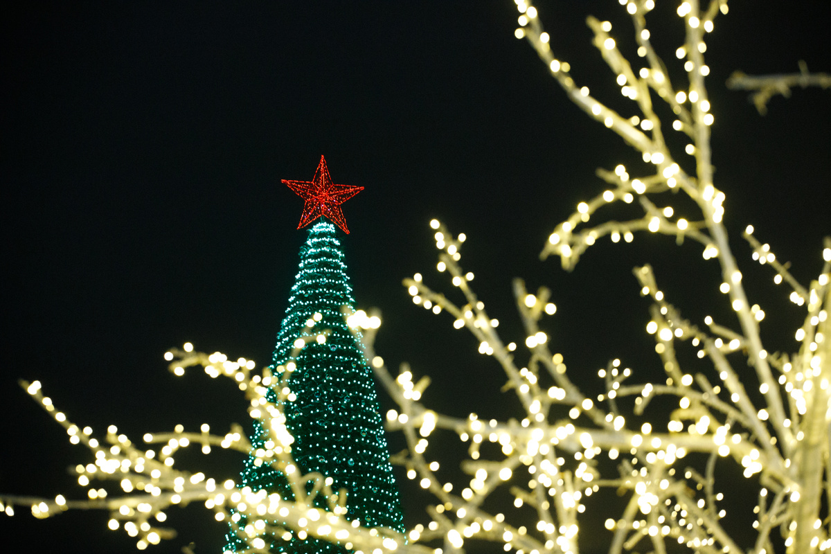 Фото: Тульская служба новостей