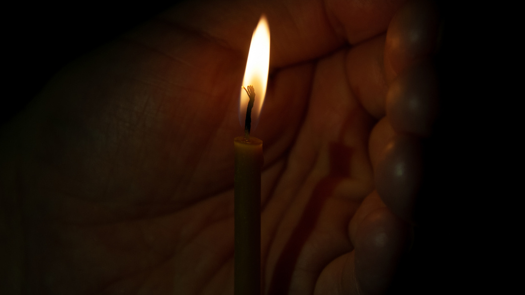    фото: Svetlana Vozmilova/Globallookpress