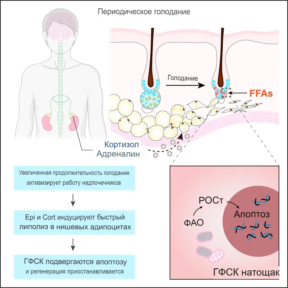 Хочешь короткую стрижку? 