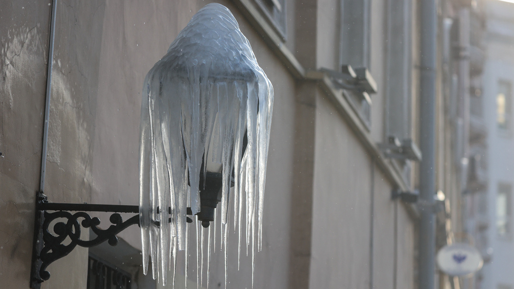    Фото: Alexey Belkin/Business Online/Globallookpress