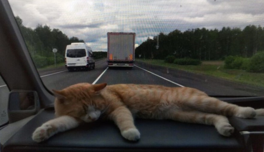 Фото: газета "Северная заря".