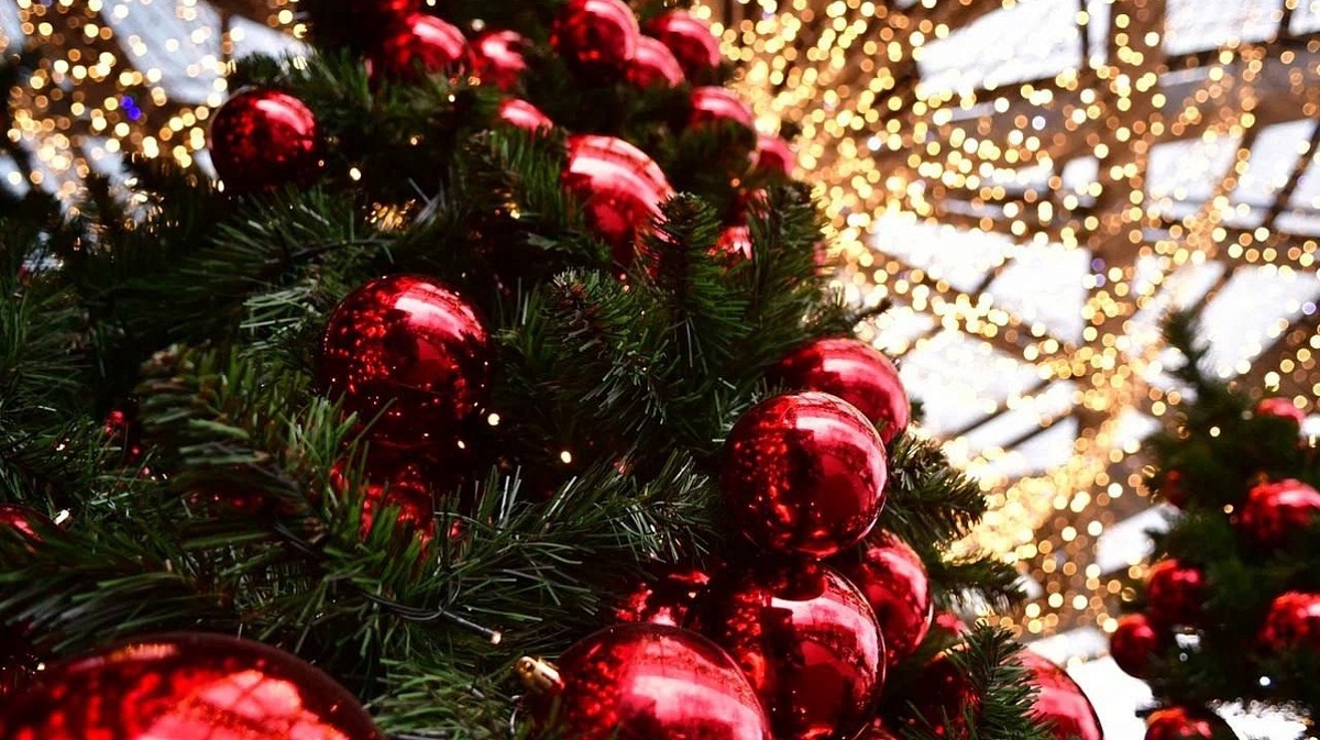     Фото: Александр Райко