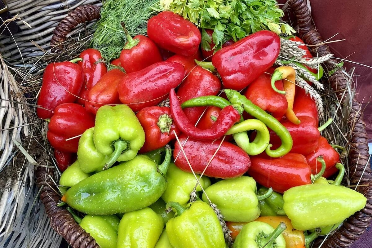 Фото: SterlitamakTime.ru