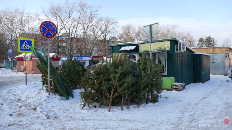 Торговые точки разместятся по пяти адресам