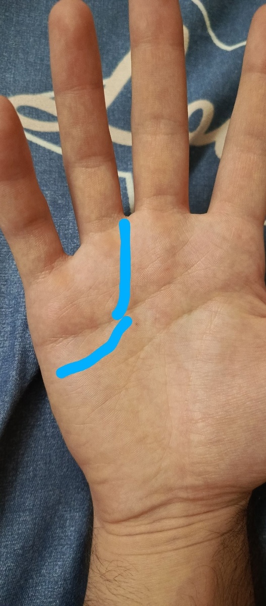 снимок с обводкой 