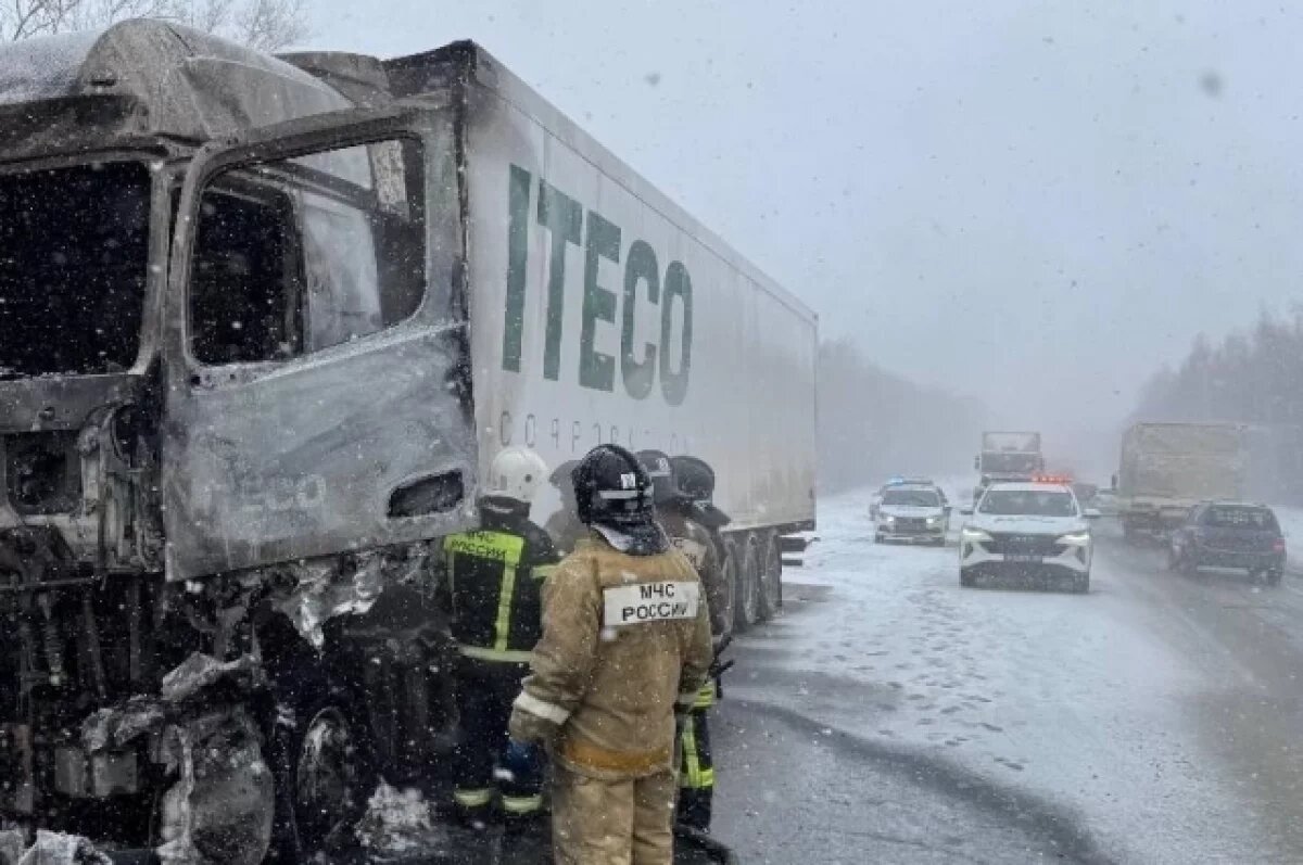    Госавтоинспекторы в Пензенской области помогли водителю загоревшейся фуры