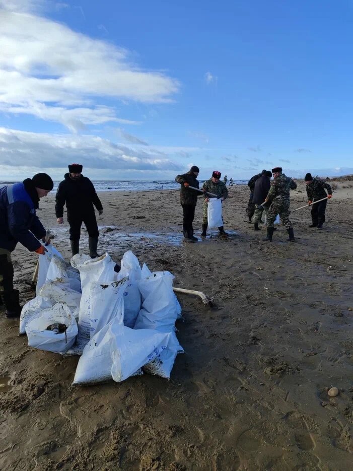     Фото: пресс-служба администрации Темрюкского района