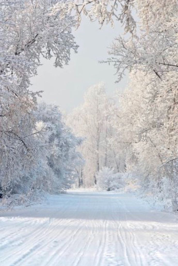 изображение с сайта Pinterest