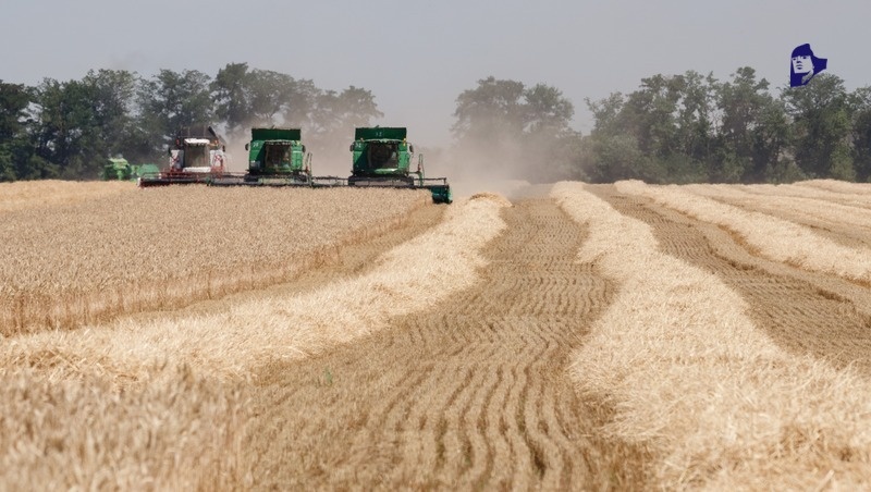      Фото: ИА «Победа26»