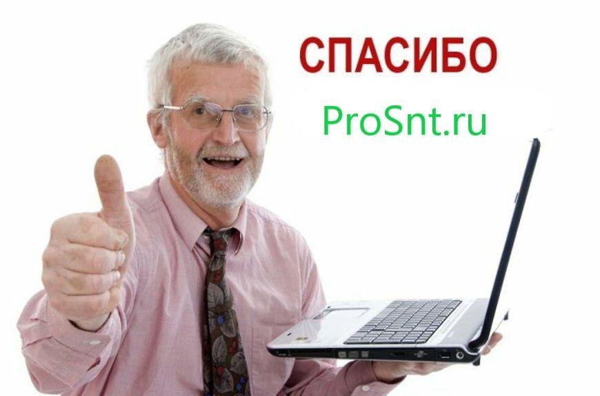 Легко вести сайт