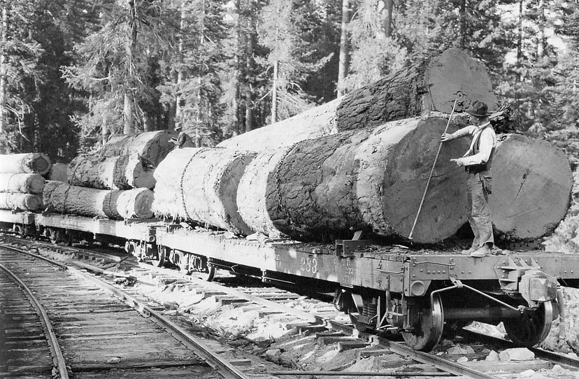 (К. К. Лаваль — Джонстон, Хэнк (1980). Рельсы к минаретам: история компании Sugar Pine Lumber Company. Trans-Anglo Books. ISBN 978–0870460203, общественное достояние)