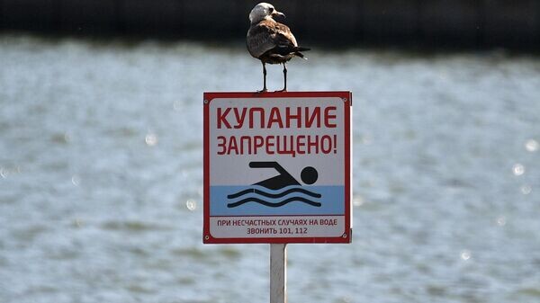    © Sputnik / Виктор Толочко