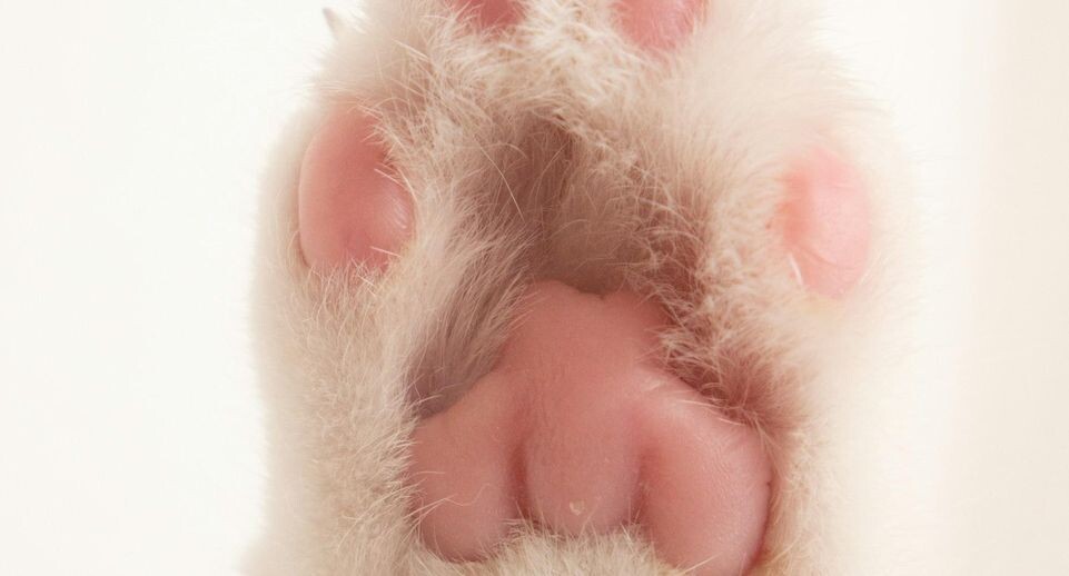    The3dragons / Unsplash