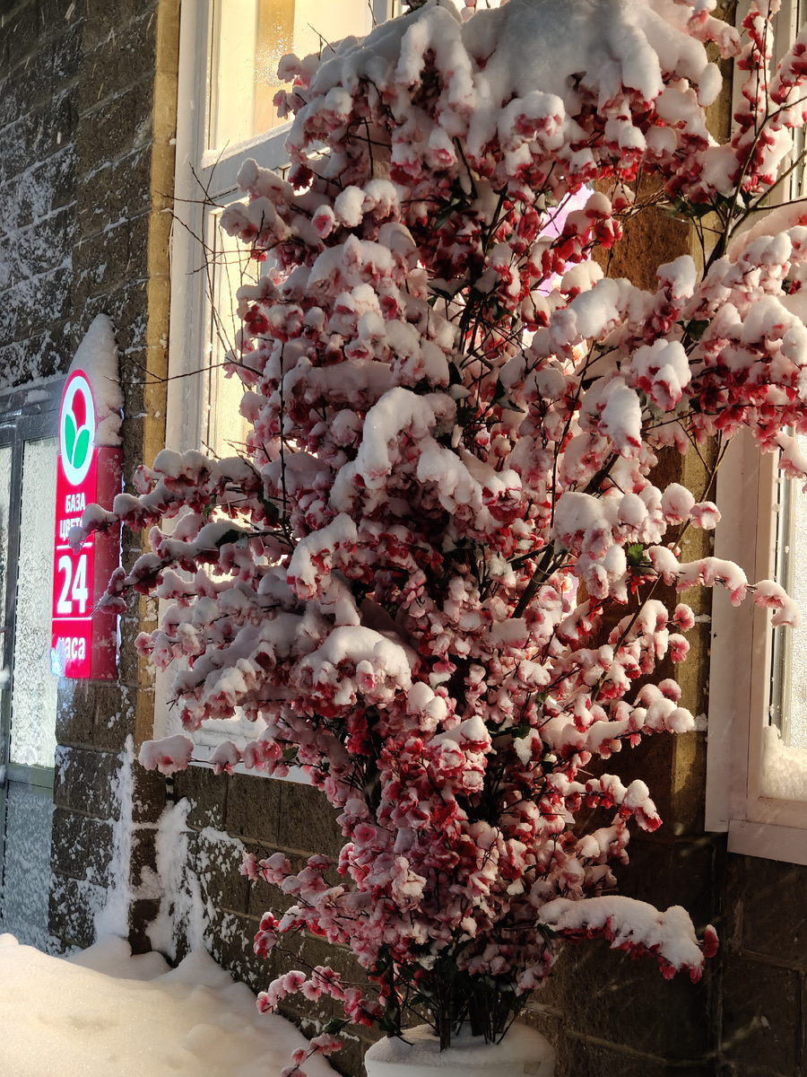 У цветочного магазина 