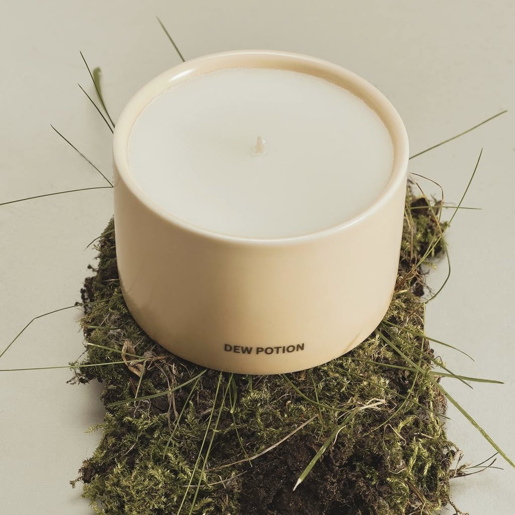 томатный лист / кедр / петрикор 