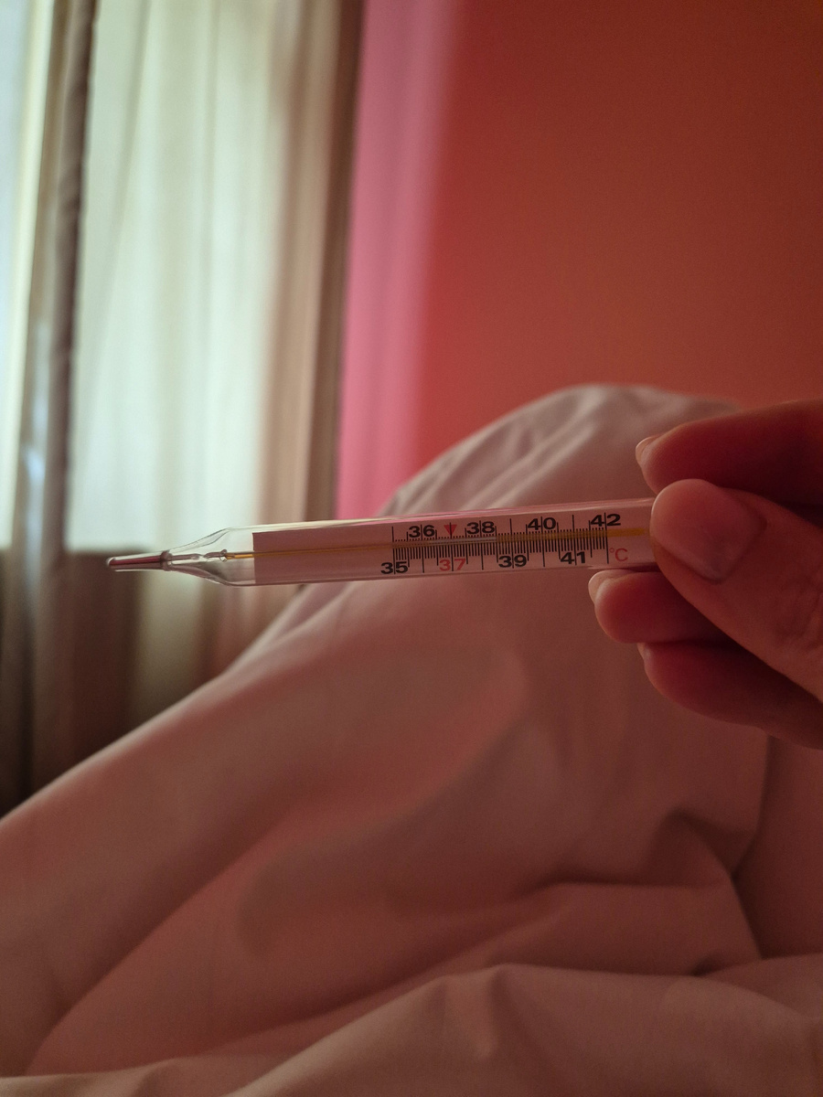 сегодня до обеда +38,5