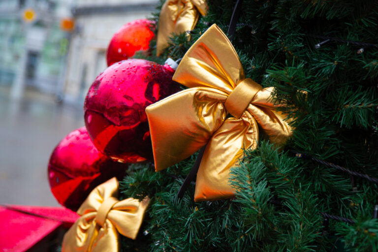    Фото: Общественная Служба Новостей Анастасия Давыдова