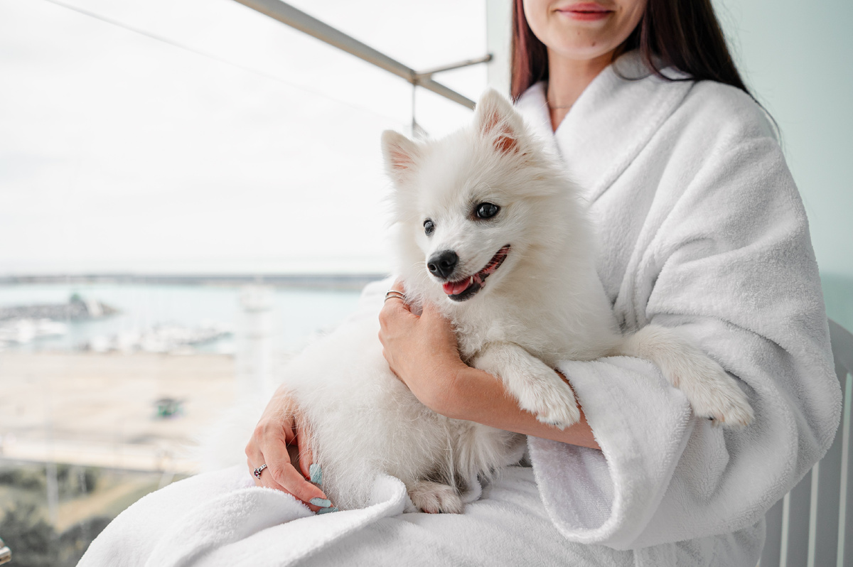 Счастливый питомец в Sirius Hotels