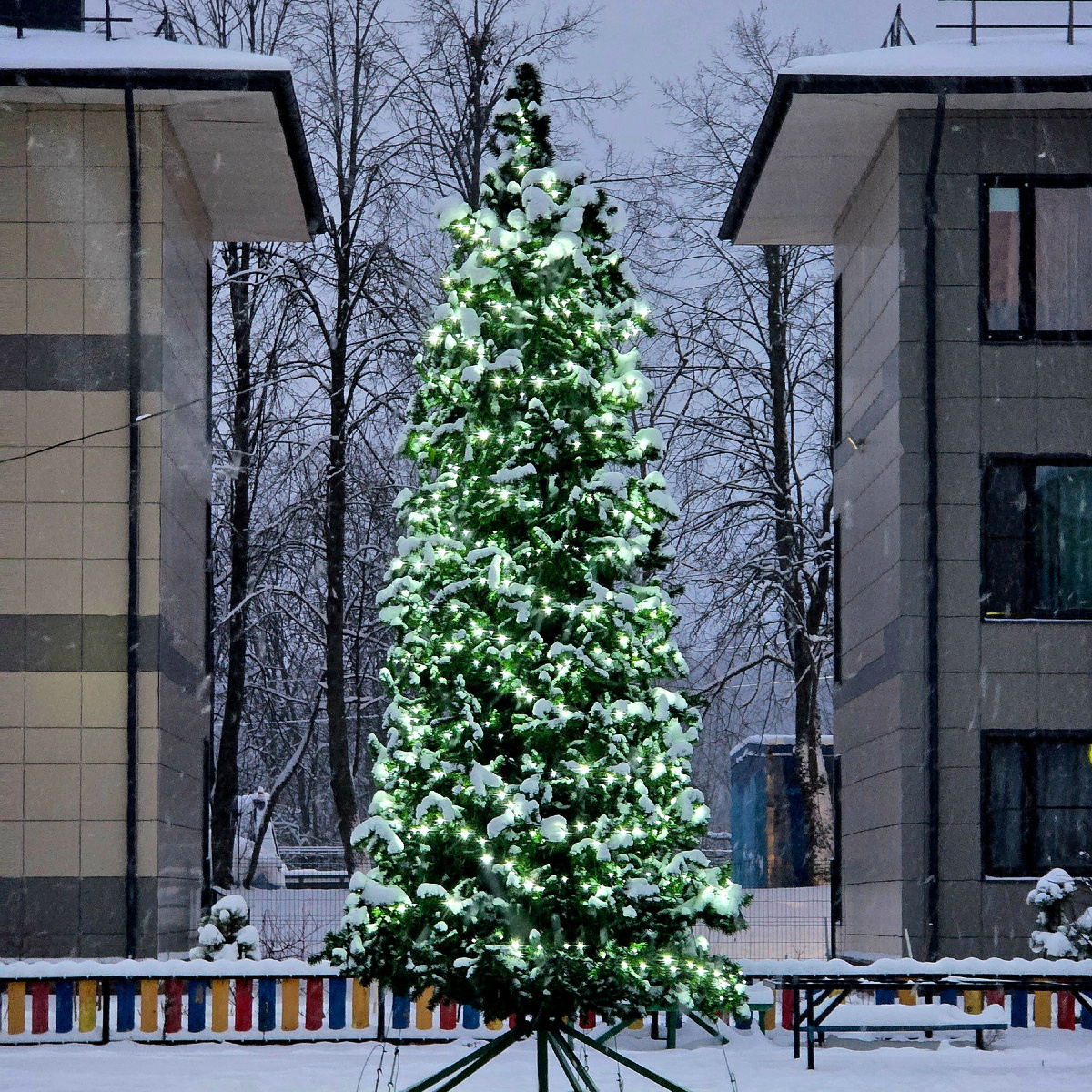 Во дворе у нас шикарная ёлочка 