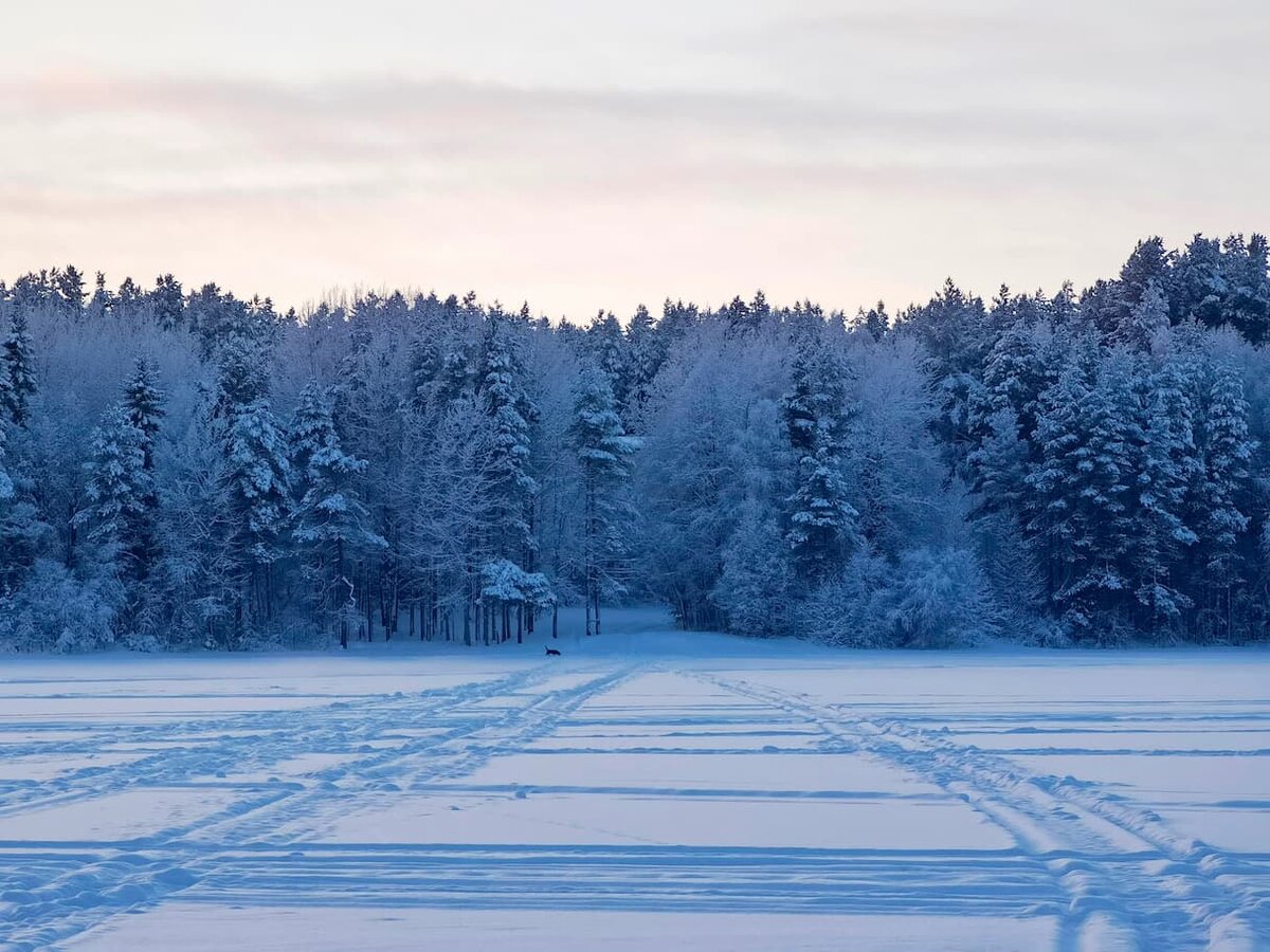    Фото: ГТРК «Карелия»