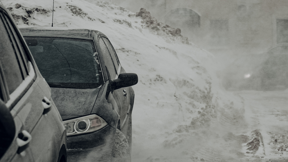 Светлана Мулыкина📷
