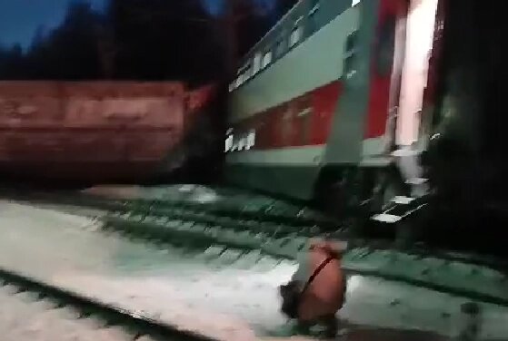    мурманск Фото: Кадр из видео