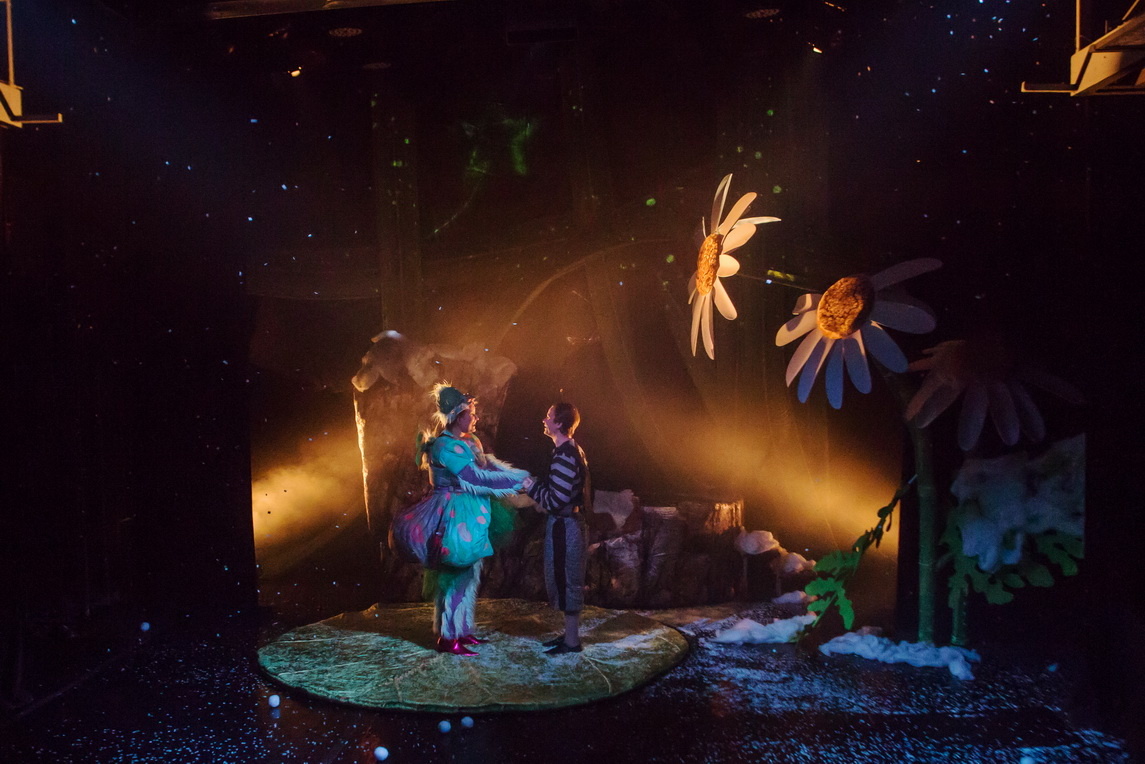 Фото спектакля "Комар мечтает о зиме"