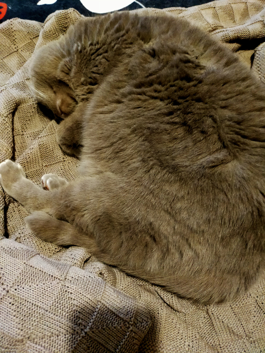 Устал помогать.Сделал всё,что мог,дальше сама.