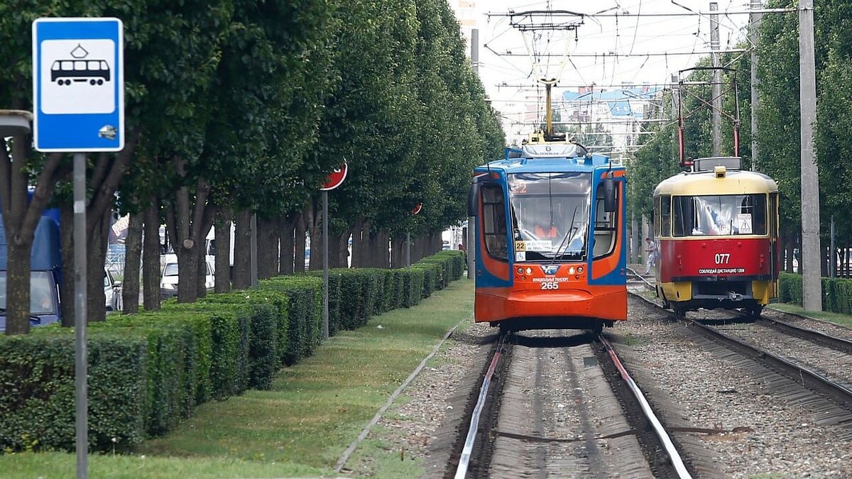    Фото: телеканал «Краснодар»