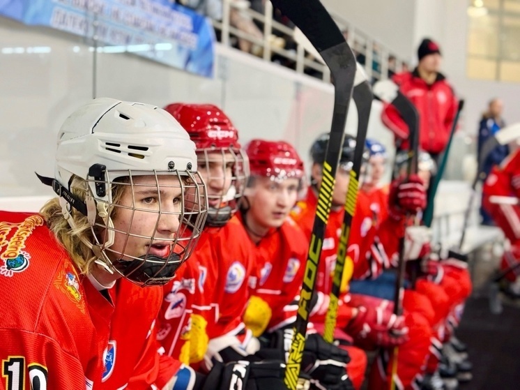     Фото: ХК "Губернский колледж"