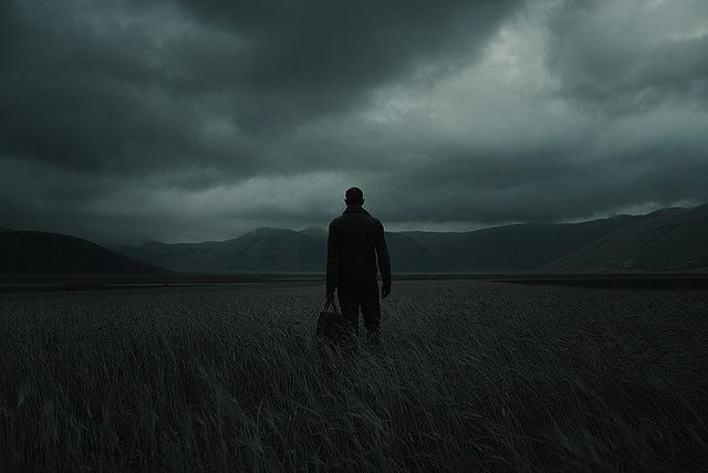 Яндекс-картинка.