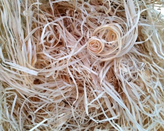 "Древесная шерсть" в своем натуральном виде