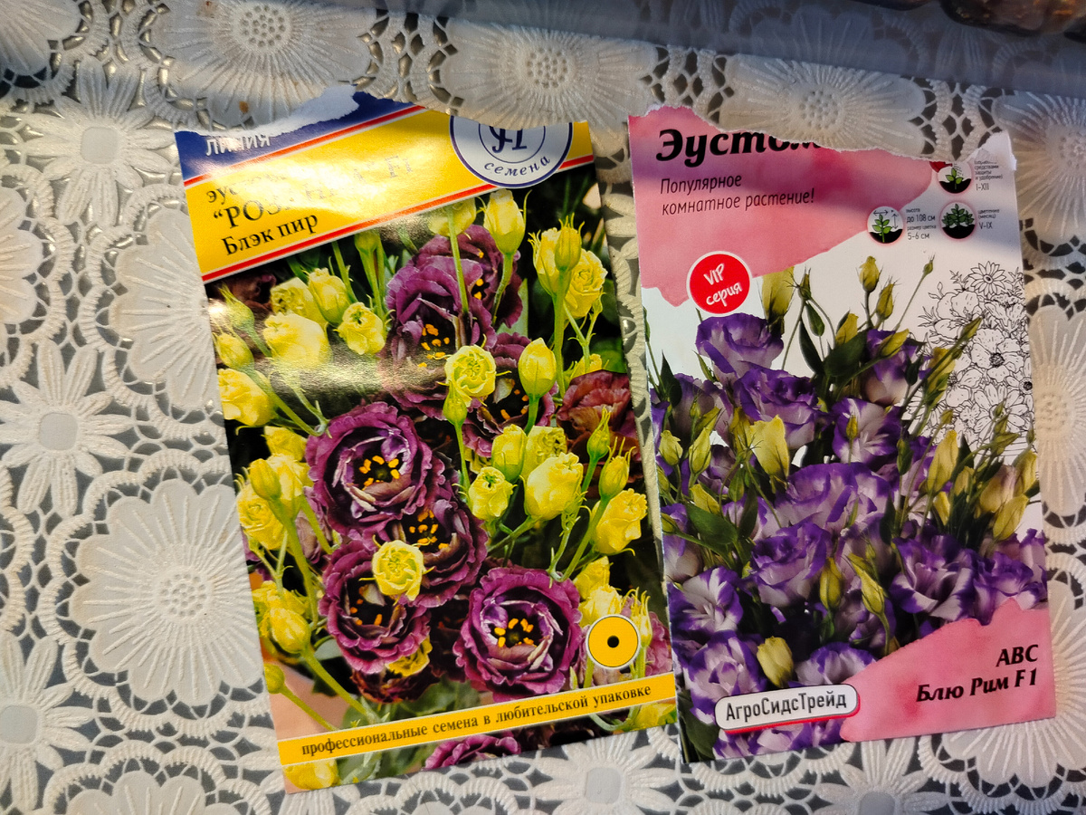 Всё, что осталось.