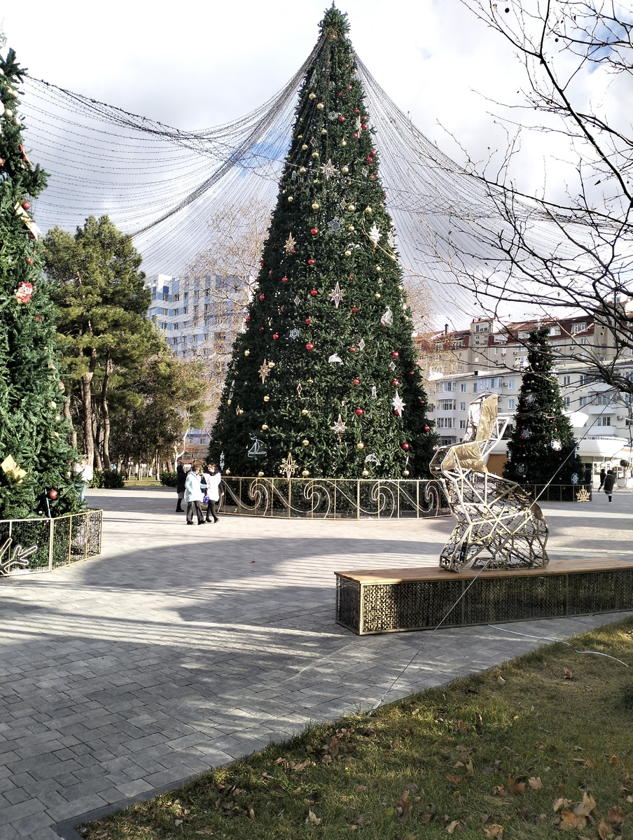 Елка на Театральной площади в Анапе. Фото автора