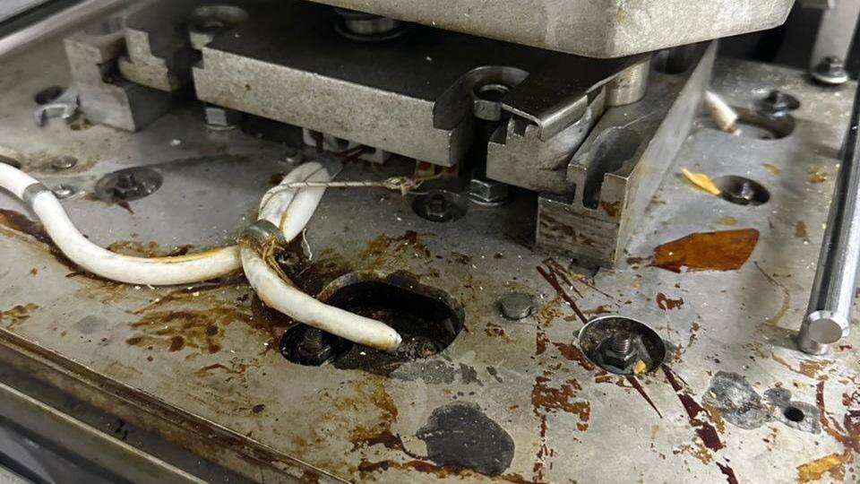    Фото: t.me/gsuskrf_spb