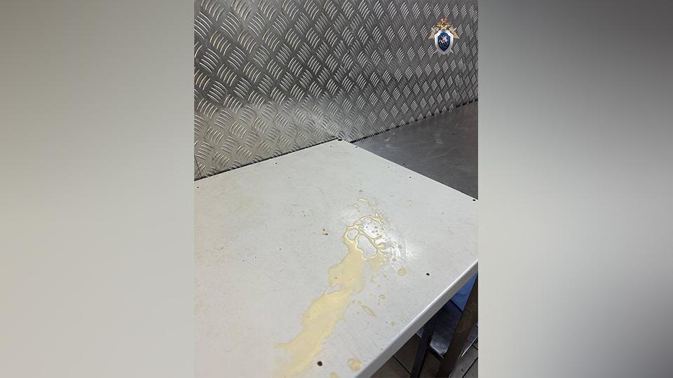    Фото: t.me/gsuskrf_spb