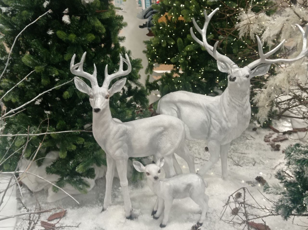 Фотография автора