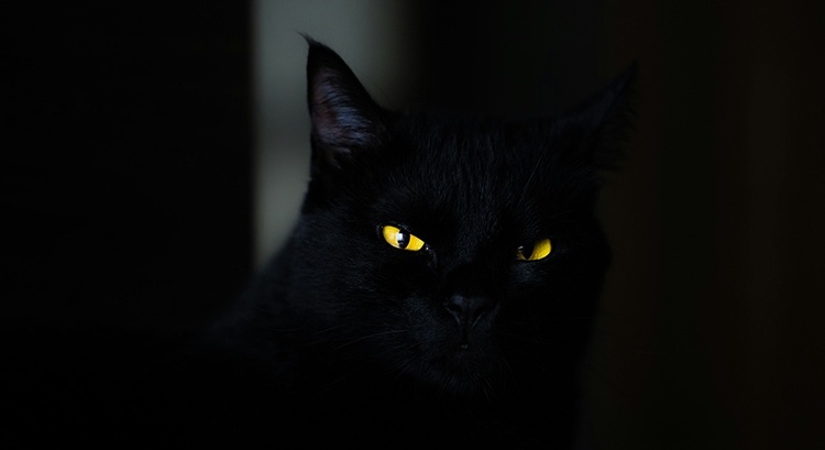 © Eduardo Mallmann/Unsplash