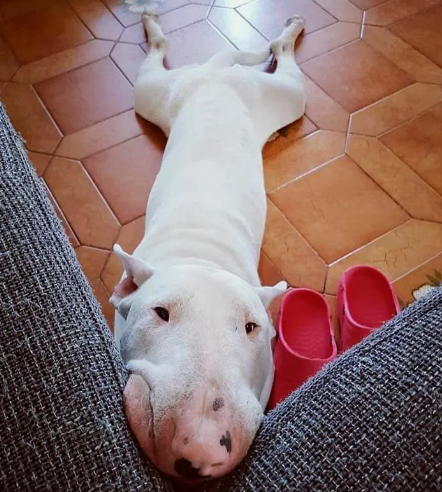 Фото с сайта nl.pinterest.com