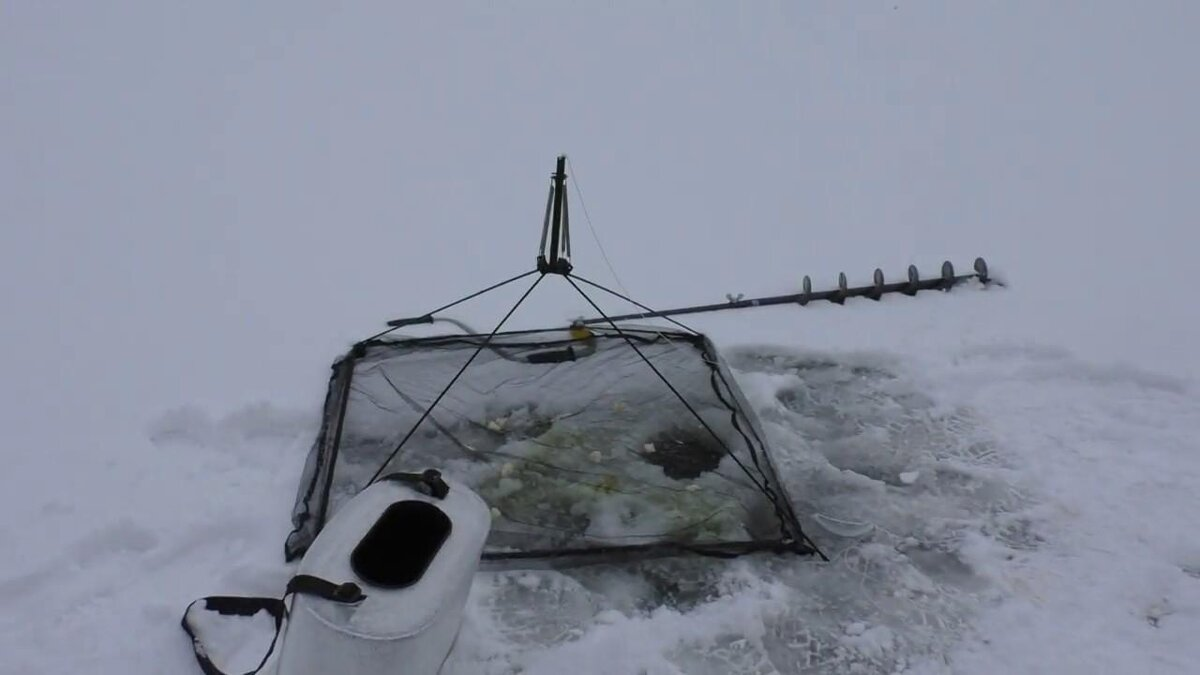 Фото с сайта: https://avatars.dzeninfra.ru